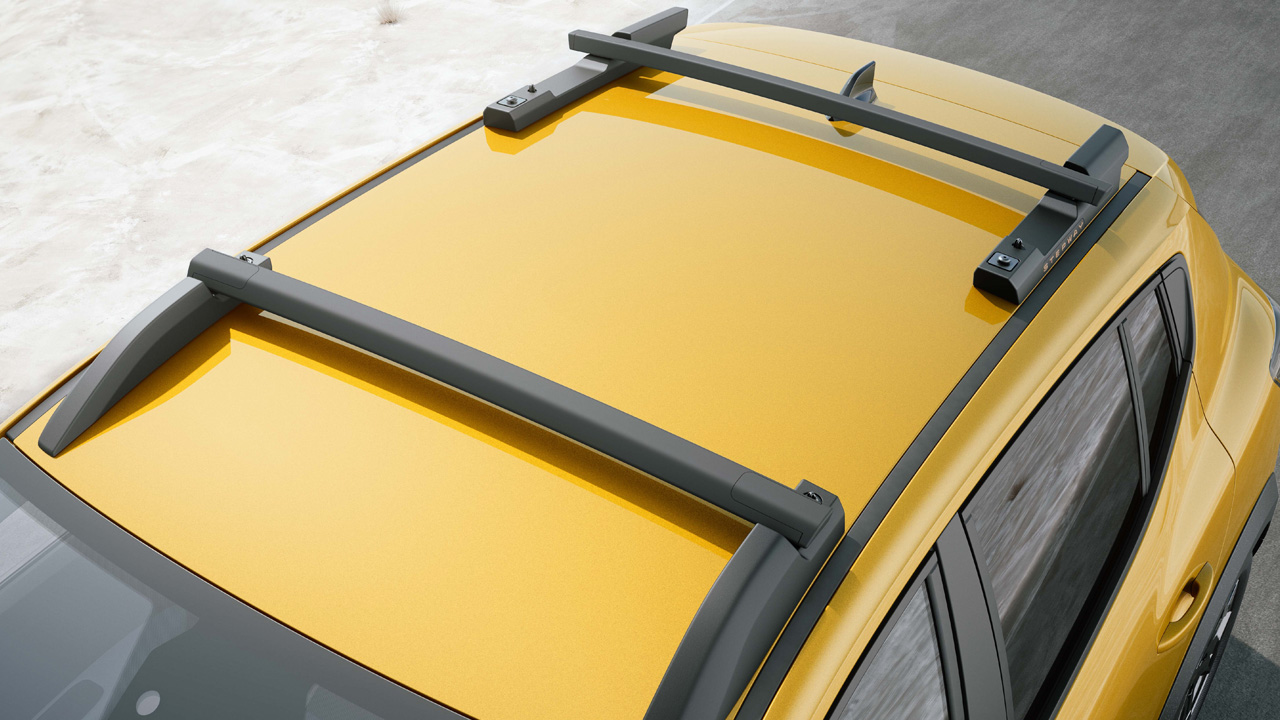 sandero stepway dakdragers