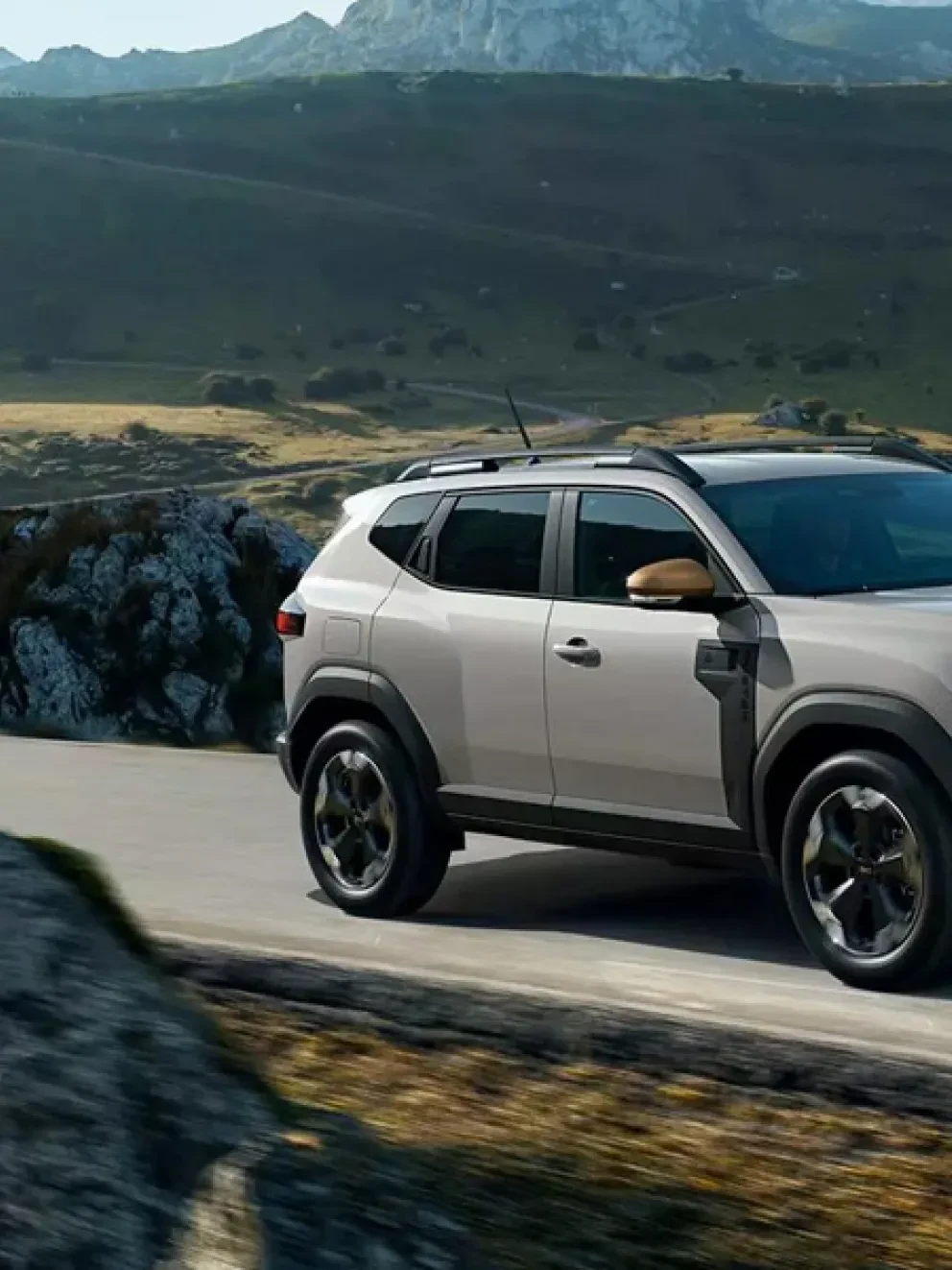 nieuwe duster